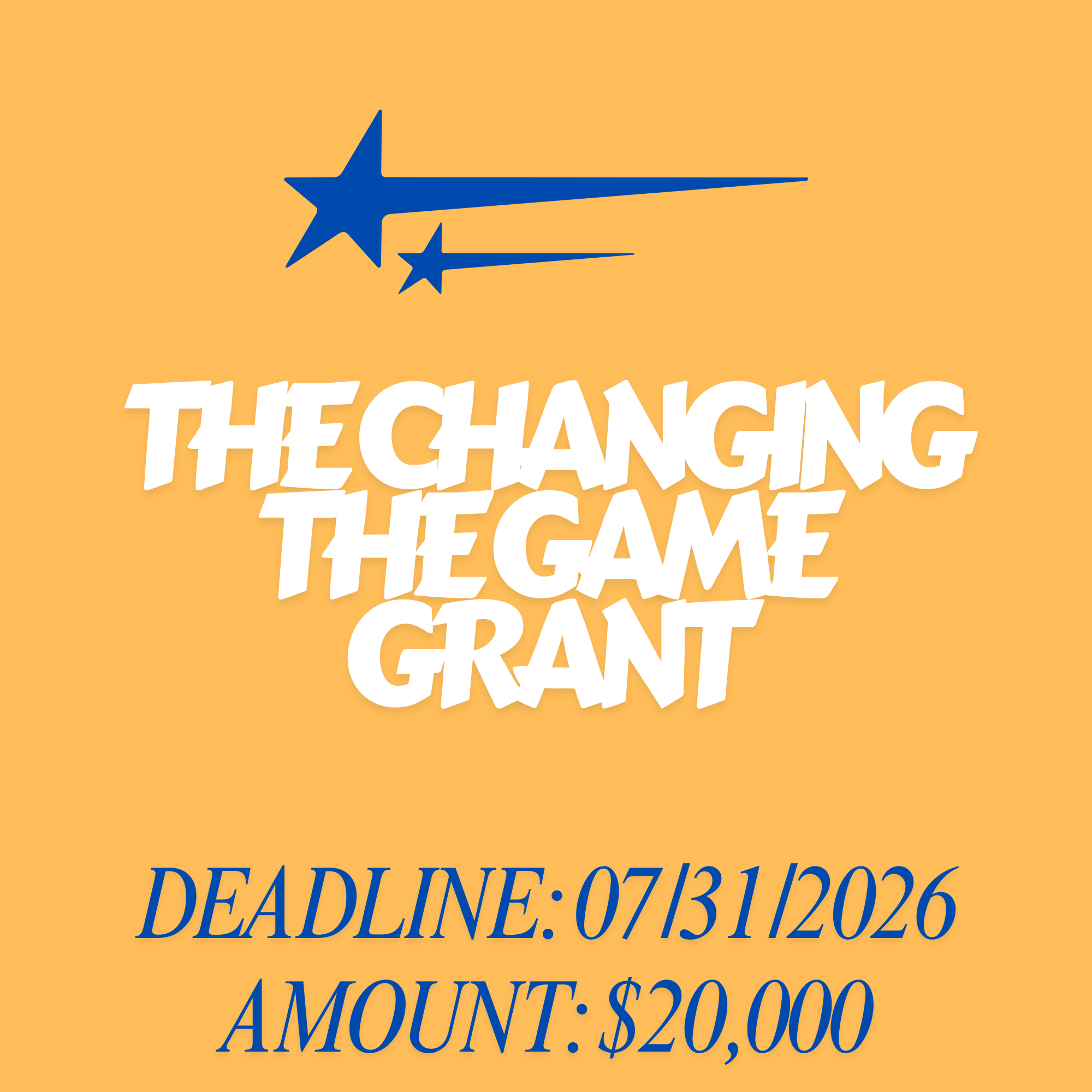 The Changing the Game Grant